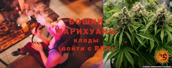 прущие грибы Бутурлиновка