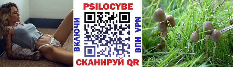 MEGA ссылки Красный Кут площадка какой сайт Галлюциногенные грибы прущие грибы