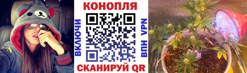 Марихуана гибрид Красный Кут